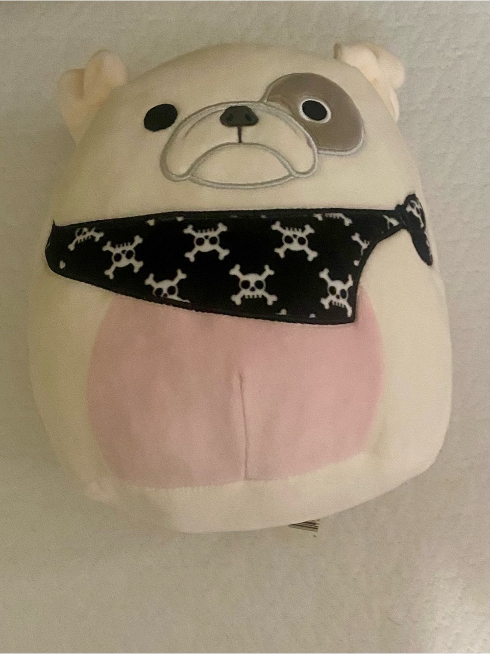 Squishmallow ELANOR the BULLDOG 8" plush Dog PIRATE BANDANA skulls